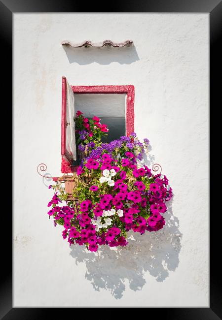 Beautiful open wooden window, pink, white and viol Framed Print by Josef Kubes