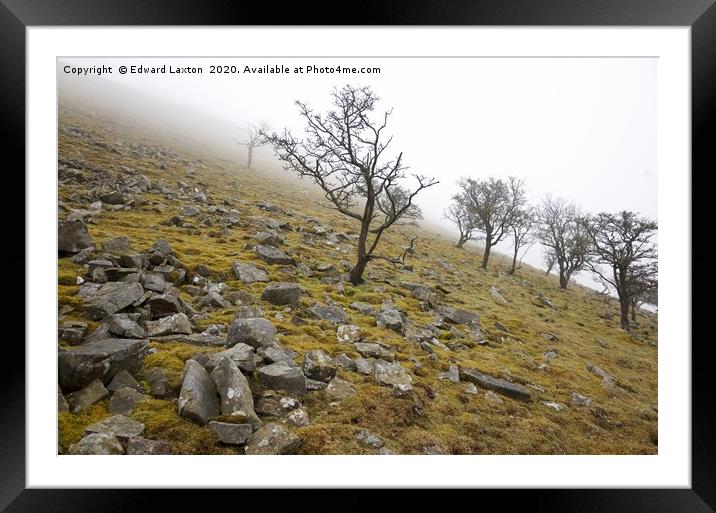 Whats Beyond the Fog Framed Mounted Print by Edward Laxton