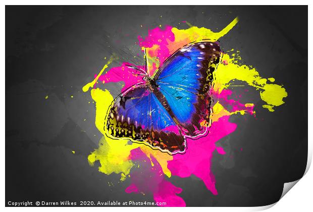 Blue Morpho Butterfly Art Print by Darren Wilkes