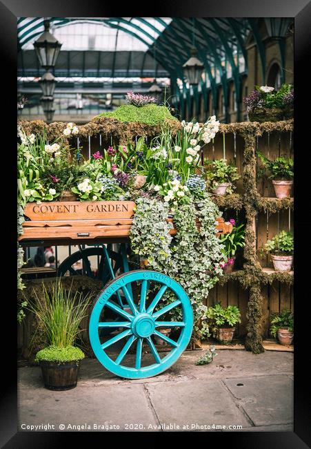 Covent Garden famous flower cart in spring Framed Print by Angela Bragato