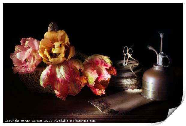 Sunlit Tulips Still Life Print by Ann Garrett