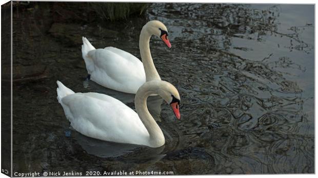 Two Mute Swans on a Lake Together Canvas Print by Nick Jenkins