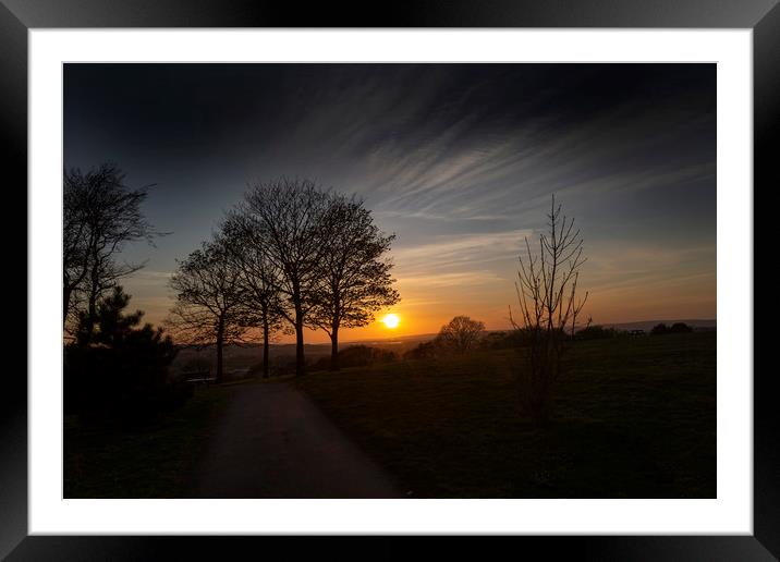 Sunset in the park Framed Mounted Print by Leighton Collins