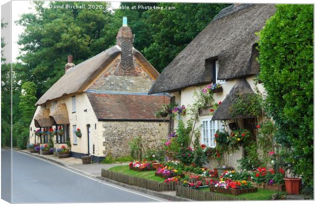 Dorset Thatched Cottages Canvas Print by David Birchall