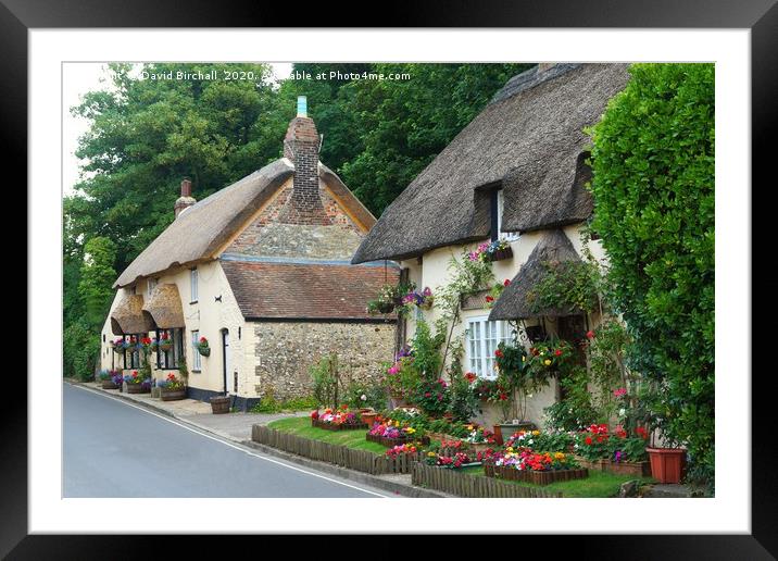 Dorset Thatched Cottages Framed Mounted Print by David Birchall
