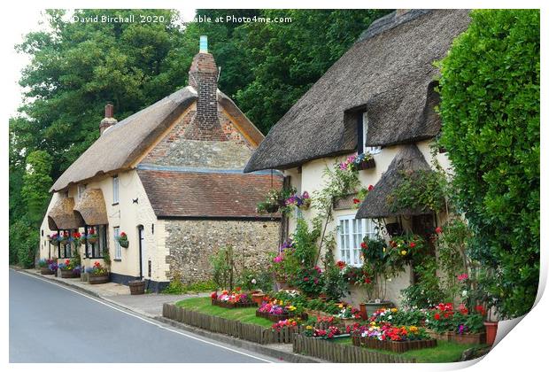 Dorset Thatched Cottages Print by David Birchall
