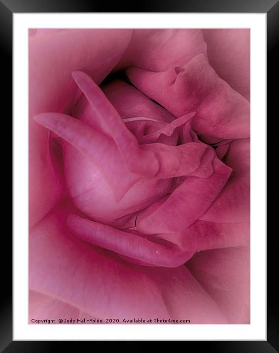 Pretty in Pink Framed Mounted Print by Judy Hall-Folde