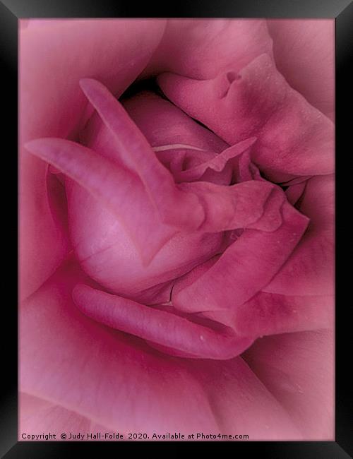 Pretty in Pink Framed Print by Judy Hall-Folde