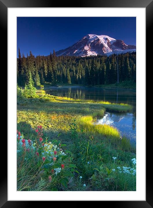 Majestic  Framed Mounted Print by Mike Dawson