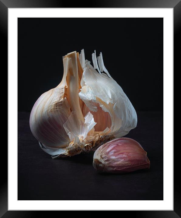 Majestic Garlic on Dark Background Still Life Framed Mounted Print by Ioan Decean