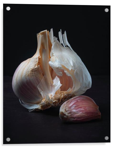 Majestic Garlic on Dark Background Still Life Acrylic by Ioan Decean