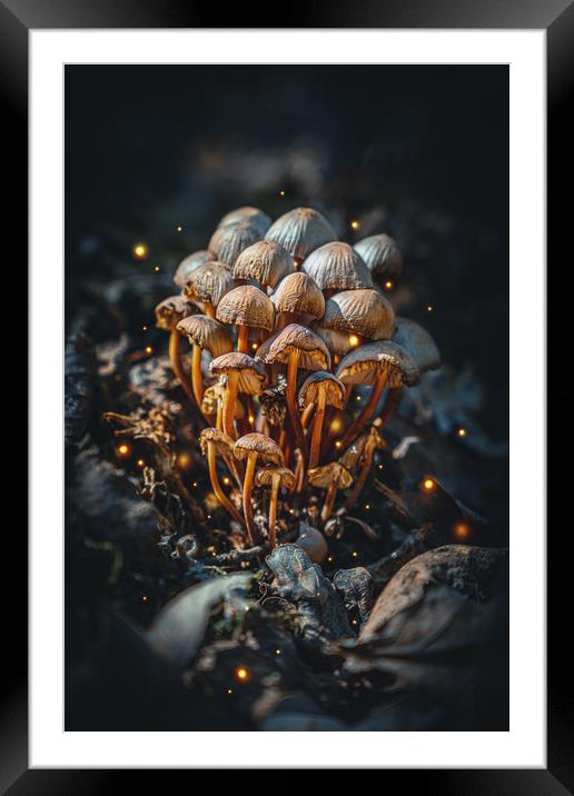 Wild Magic Mushrooms in the Fantasy Forest Framed Mounted Print by Ioan Decean