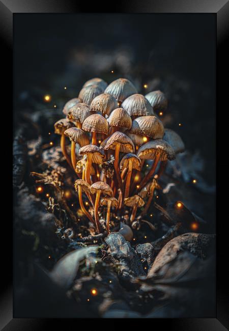Wild Magic Mushrooms in the Fantasy Forest Framed Print by Ioan Decean
