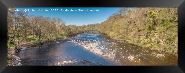 The River Tees at Whorlton Spring Panorama Framed Print by Richard Laidler