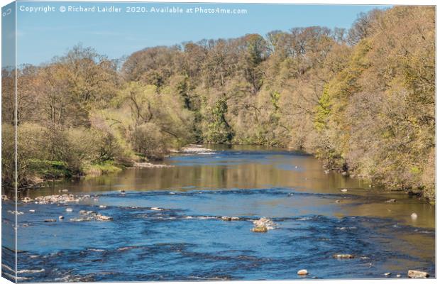 The River Tees at Whorlton in Spring Canvas Print by Richard Laidler
