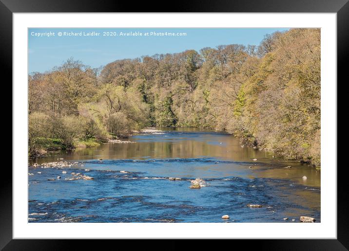The River Tees at Whorlton in Spring Framed Mounted Print by Richard Laidler