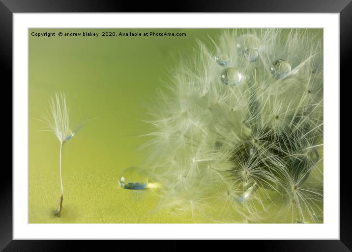 The Refreshing Drops of Summer Framed Mounted Print by andrew blakey