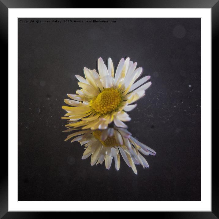 Elegance in Contrast Framed Mounted Print by andrew blakey