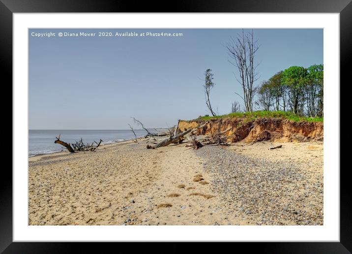 The Beach at Covehithe Framed Mounted Print by Diana Mower