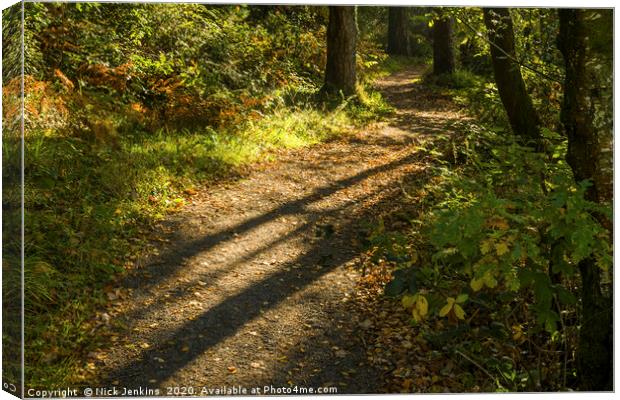 Long Shadows of Autumn at Hensol Forest  Canvas Print by Nick Jenkins