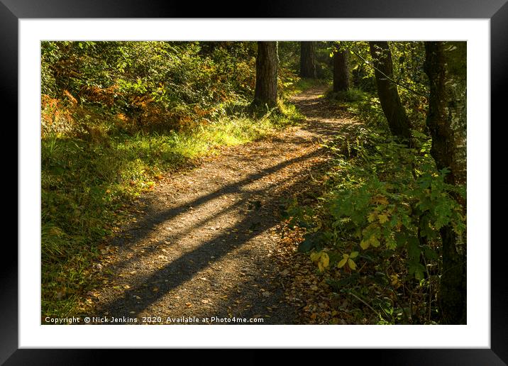 Long Shadows of Autumn at Hensol Forest  Framed Mounted Print by Nick Jenkins