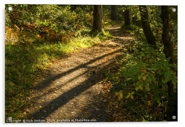 Long Shadows of Autumn at Hensol Forest  Acrylic by Nick Jenkins