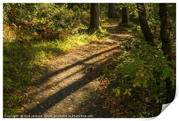 Long Shadows of Autumn at Hensol Forest  Print by Nick Jenkins