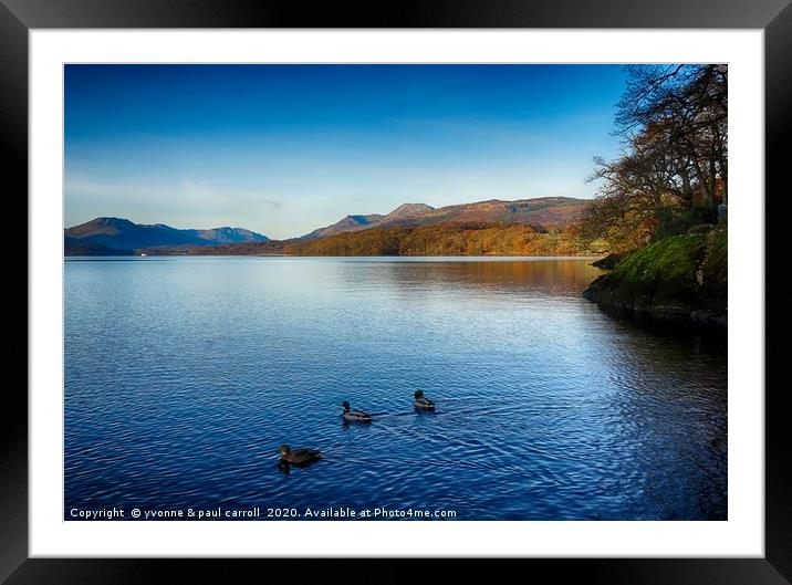 Ducks on Loch Lomond			 Framed Mounted Print by yvonne & paul carroll