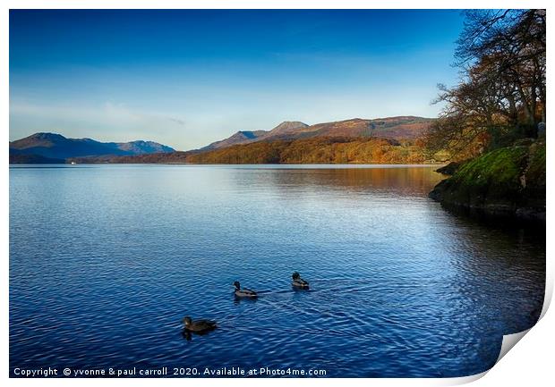 Ducks on Loch Lomond			 Print by yvonne & paul carroll