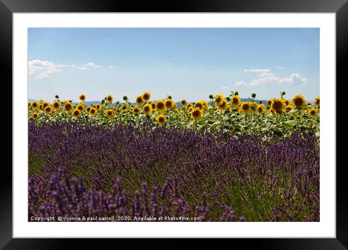 Lavender and Sunflowers Framed Mounted Print by yvonne & paul carroll