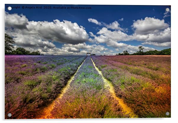 Lavender Farm. Acrylic by Angela Aird