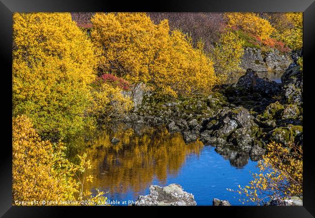 Landscape in the Lava Valley at Bifrost Iceland Framed Print by Nick Jenkins