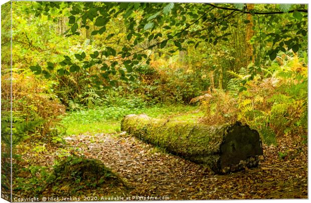 Autumn Scene in the Hensol Woodland South Wales Canvas Print by Nick Jenkins