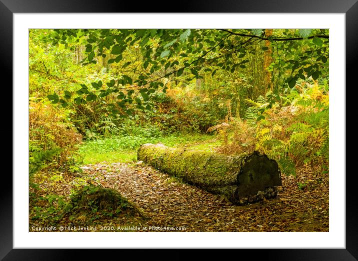 Autumn Scene in the Hensol Woodland South Wales Framed Mounted Print by Nick Jenkins