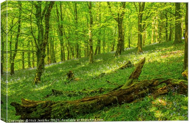 The Wenallt Spring Woods Cardiff South Wales Canvas Print by Nick Jenkins