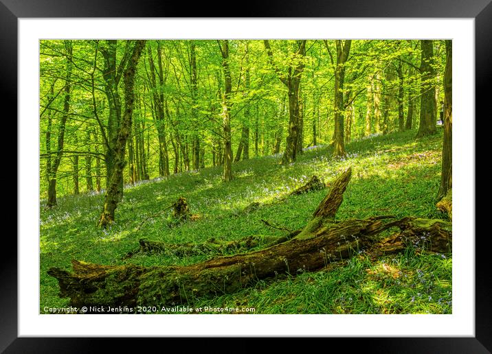 The Wenallt Spring Woods Cardiff South Wales Framed Mounted Print by Nick Jenkins