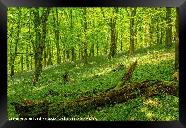The Wenallt Spring Woods Cardiff South Wales Framed Print by Nick Jenkins