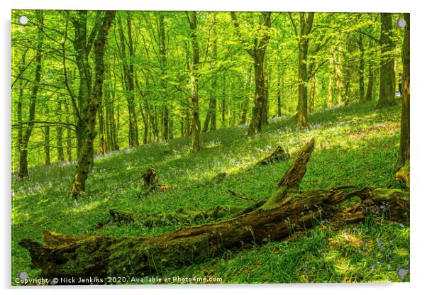 The Wenallt Spring Woods Cardiff South Wales Acrylic by Nick Jenkins