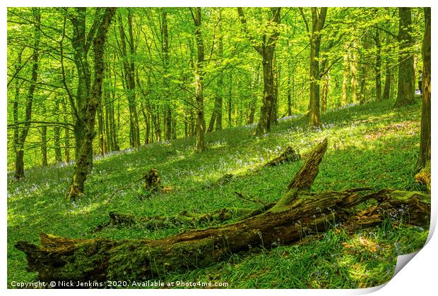 The Wenallt Spring Woods Cardiff South Wales Print by Nick Jenkins