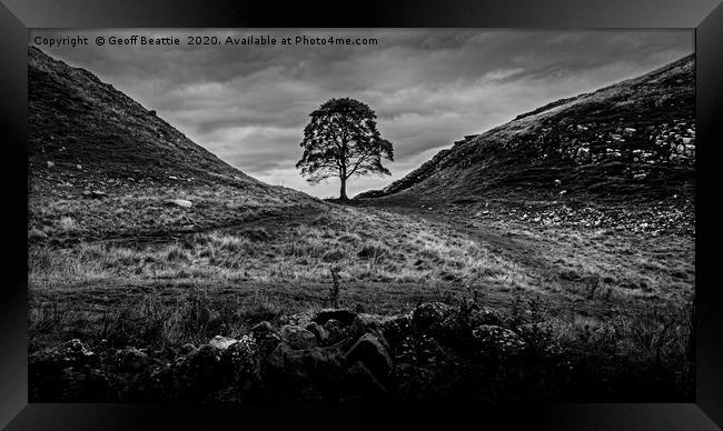 The Iconic Solitude of Sycamore Gap Framed Print by Geoff Beattie