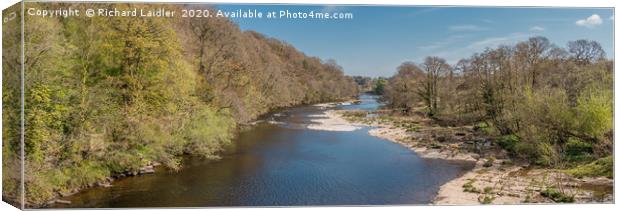 The River Tees at Downstream at Whorlton in Spring Canvas Print by Richard Laidler