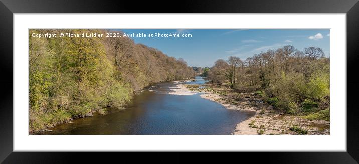 The River Tees at Downstream at Whorlton in Spring Framed Mounted Print by Richard Laidler