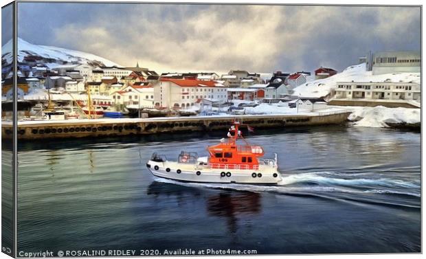 "On Patrol in Honningsvag Harbour" Canvas Print by ROS RIDLEY