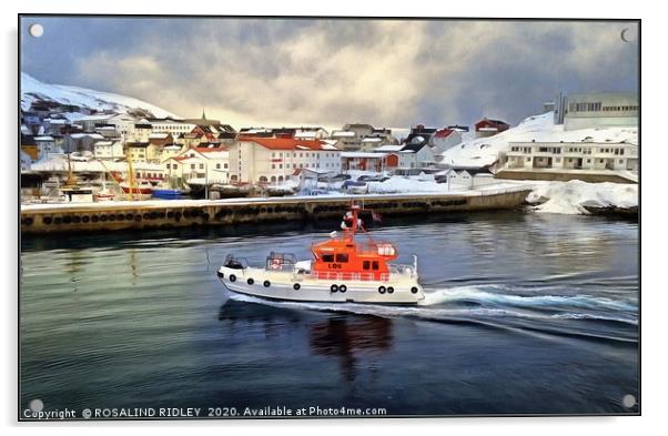 "On Patrol in Honningsvag Harbour" Acrylic by ROS RIDLEY