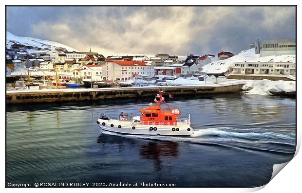 "On Patrol in Honningsvag Harbour" Print by ROS RIDLEY