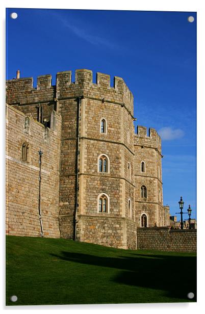 Windsor Castle Acrylic by David Gardener