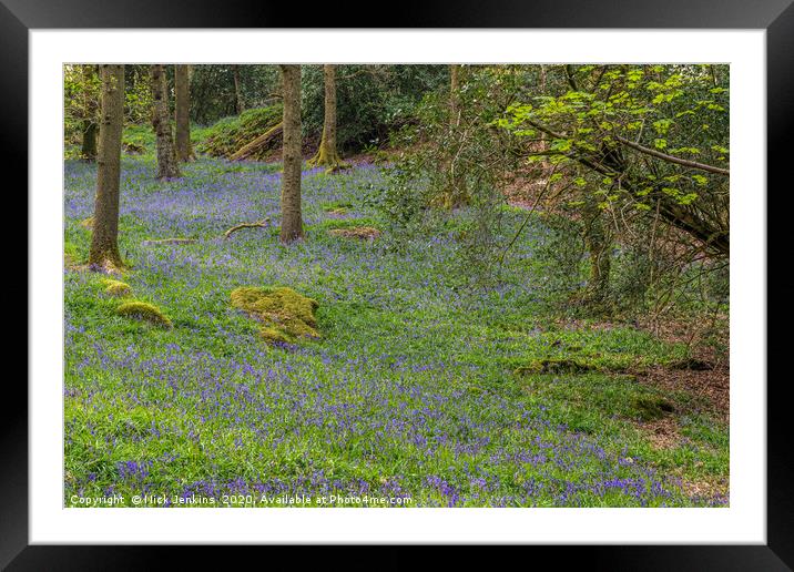 Bluebell woods in the Lake District   Framed Mounted Print by Nick Jenkins