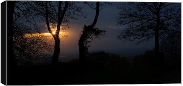 Evening sunburst through the trees Canvas Print by Leighton Collins