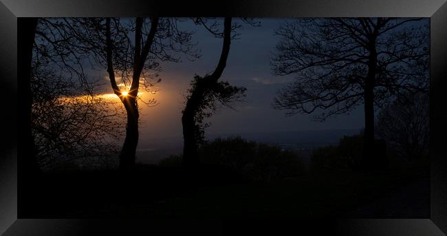 Evening sunburst through the trees Framed Print by Leighton Collins