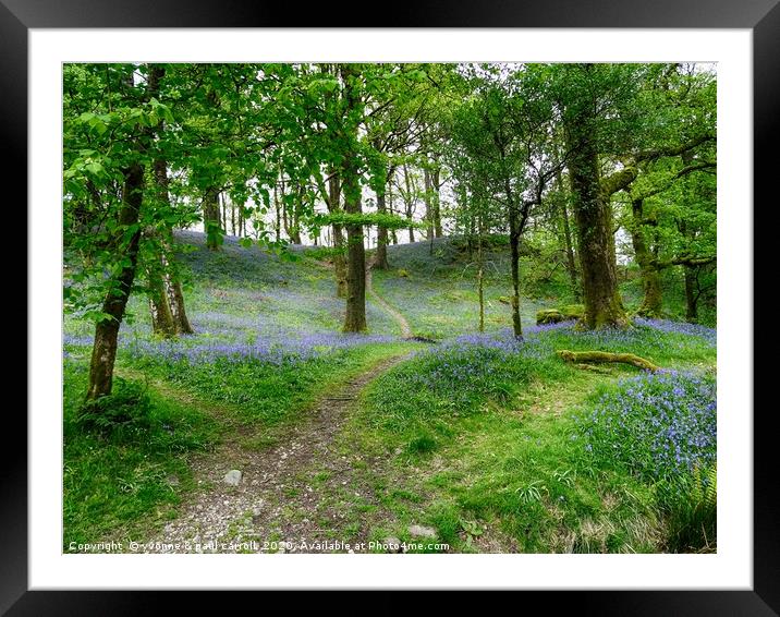 Lake District bluebells                          Framed Mounted Print by yvonne & paul carroll